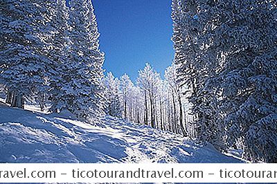 Inbounds Backcountry Style Extreme Skiing At Steamboat In Colorado