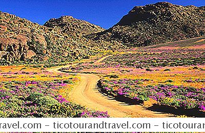 Cape Flower Route, Etelä-Afrikka: Täydellinen Opas