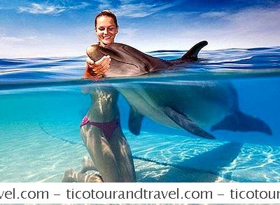 Encuentros Con Delfines, Nassau, Bahamas