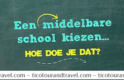 Categorie Bestuderen: [Infographic] Je Routekaart Naar Middelbare School In Het Buitenland