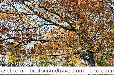 Categorie Verenigde Staten: Massachusetts Fall Foliage Driving Tours