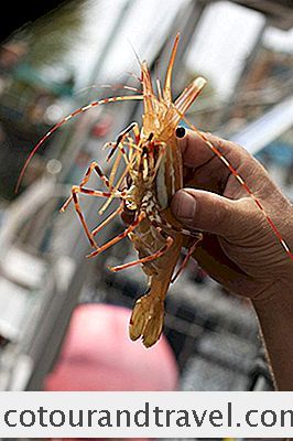 Categoría Canadá: Festival De Langostinos De Vancouver