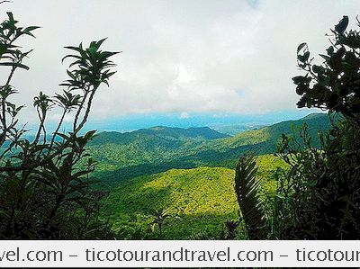 Visite De La Forêt Tropicale Nationale D'El Yunque