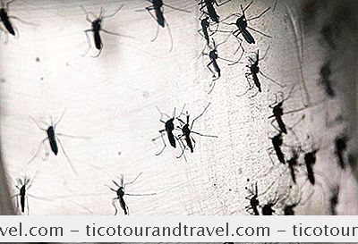 Kategori Amerika Tengah & Selatan: Haruskah Anda Masih Khawatir Tentang Zika?