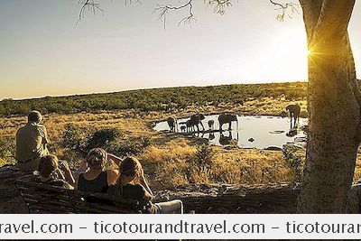 Categorie Destinaţii: Top 10 Destinatii De Safari Din Africa Nesusceptibil