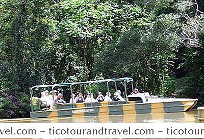 Parque Natural Rainforestation En Kuranda Cerca De Cairns, Australia