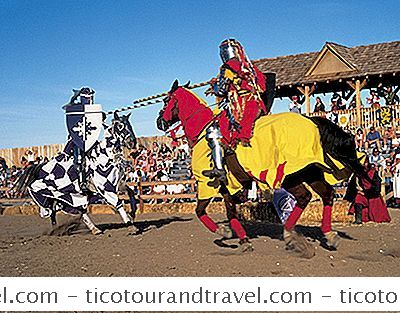 2016 Carolina Renaissance Festival