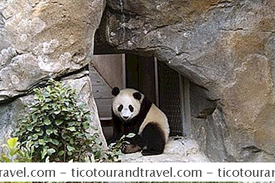 Dierenfoto'S - Langs De Asia Trail In De National Zoo