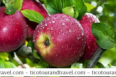 Thể LoạI Hoa Kỳ: Apple Orchards Gần Minneapolis Và St. Paul