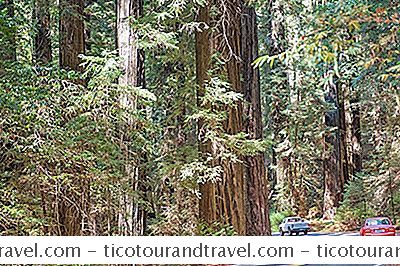 Categoría Estados Unidos: Avenue Of The Giants: Las Millas 39 Más Espectaculares Del Norte De California