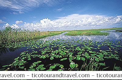 Công Viên Quốc Gia Everglades, Florida
