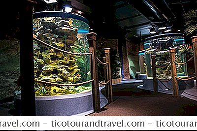 Greater Cleveland Aquarium