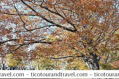 Massachusetts Fall Foliage Driving Tours