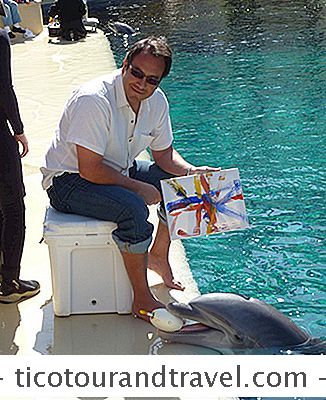 หมวดหมู่ สหรัฐ: จิตรกรรมพร้อมปลาโลมาที่ Mirage Las Vegas