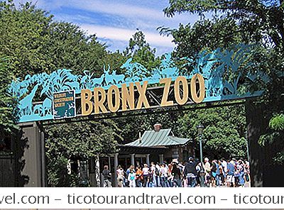 Machen Sie Einen Rundgang Durch Den Bronx Zoo