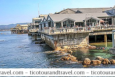 Kategori Amerika Birleşik Devletleri: Monterey Bay Akvaryumu Ziyareti